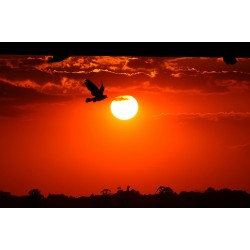 Com El Niño, primavera será quente e chuvosa no Paraná